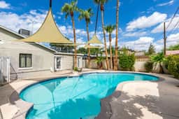 Vegas Oasis - Image 2